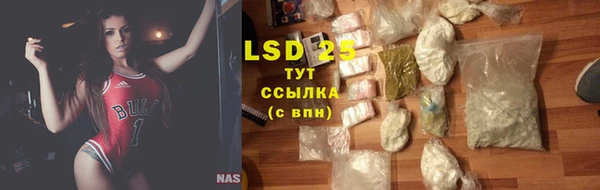 хмурый Каменка
