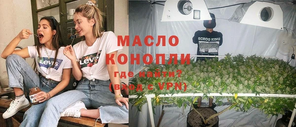 хмурый Каменка