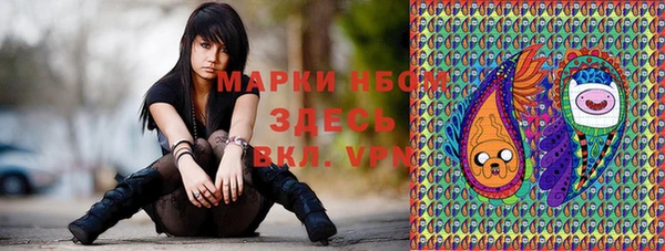 меф Бердск
