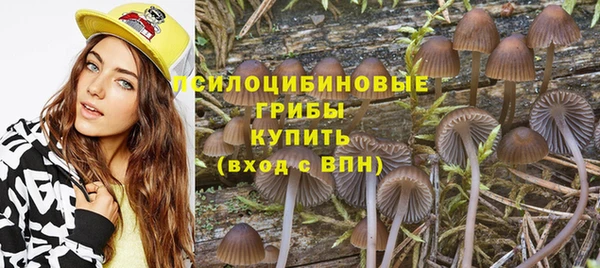 хмурый Каменка