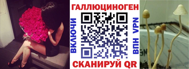 Псилоцибиновые грибы прущие грибы  Купить где  Октябрьск 